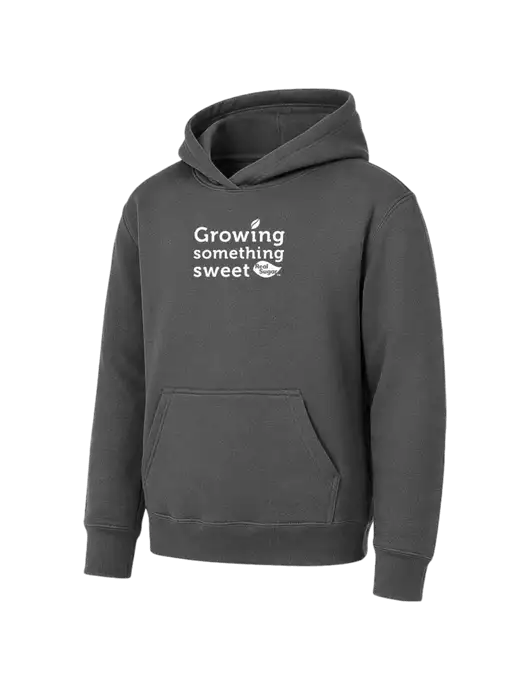Youth Charcoal 7.8 oz Pullover Hooded Sweatshirt w/Growing Something Sweet Logo